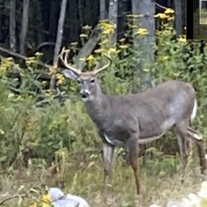 kimwimgoddess avatar